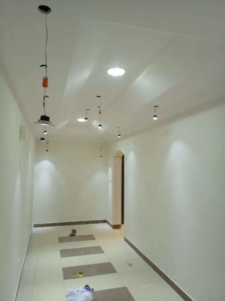 دهانات ديكورية روعة وخيال وشامواه